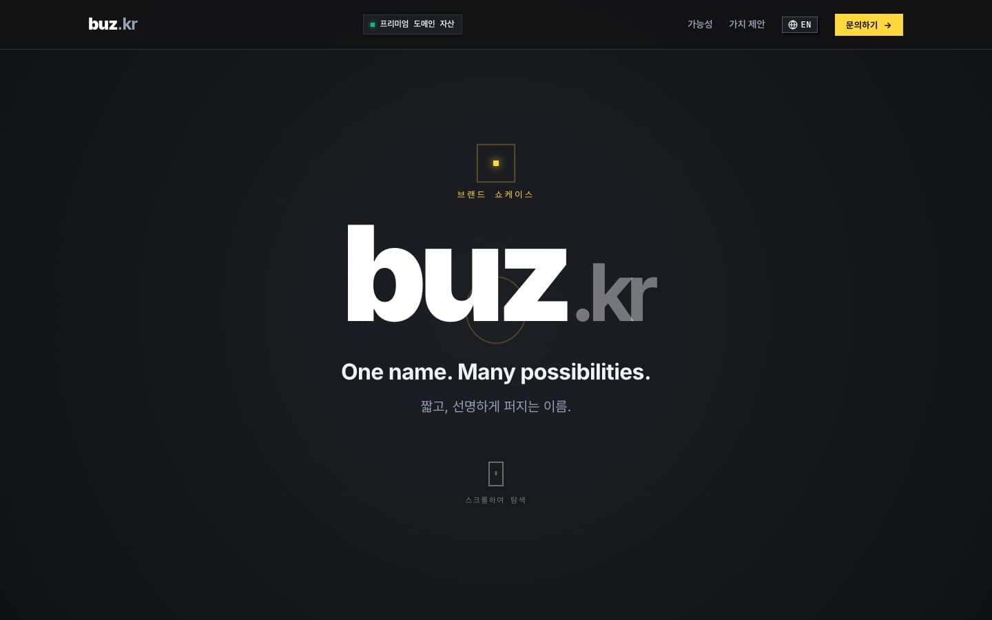 Premium Domain Brand Showcase